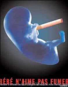 Alain Le Quernec Delyrarte