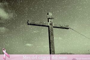 Carncer de mama