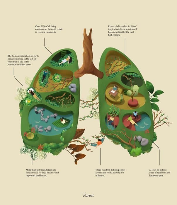 infografías Jing Zhang Delyrarte