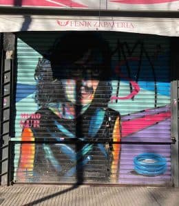 Proyecto Cortinas Delyrarte