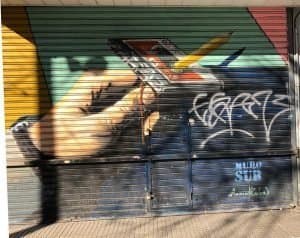 Proyecto Cortinas Delyrarte