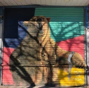 Proyecto Cortinas Delyrarte