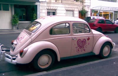 escarabajo escarabajo