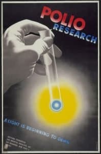 herbert bayer delyrarte