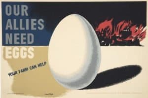 herbert bayer delyrarte