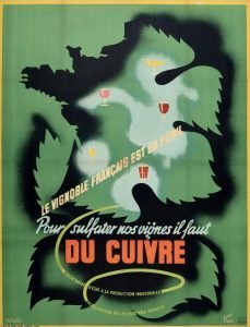 Rene Ravo