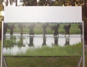 fotos