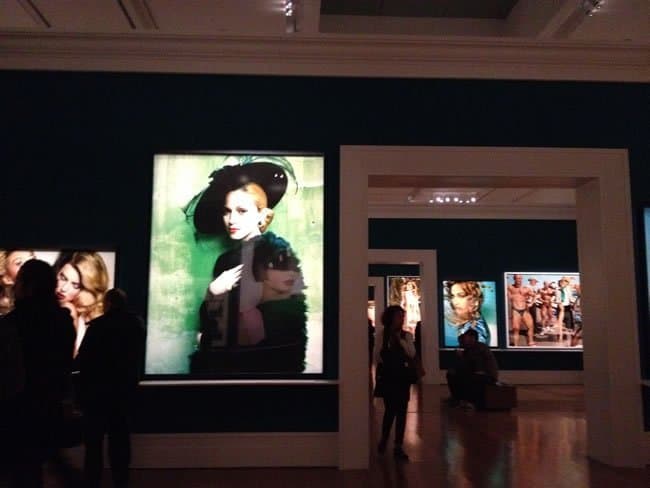 testino_05